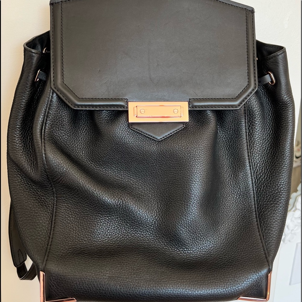 Alexander Wang Prisma Skeletal Backpack